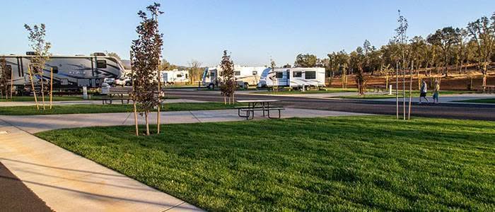 Several RVs are parked in designated spaces at a well-maintained campground with green lawns, young trees, picnic tables, and paved roads under a clear sky.