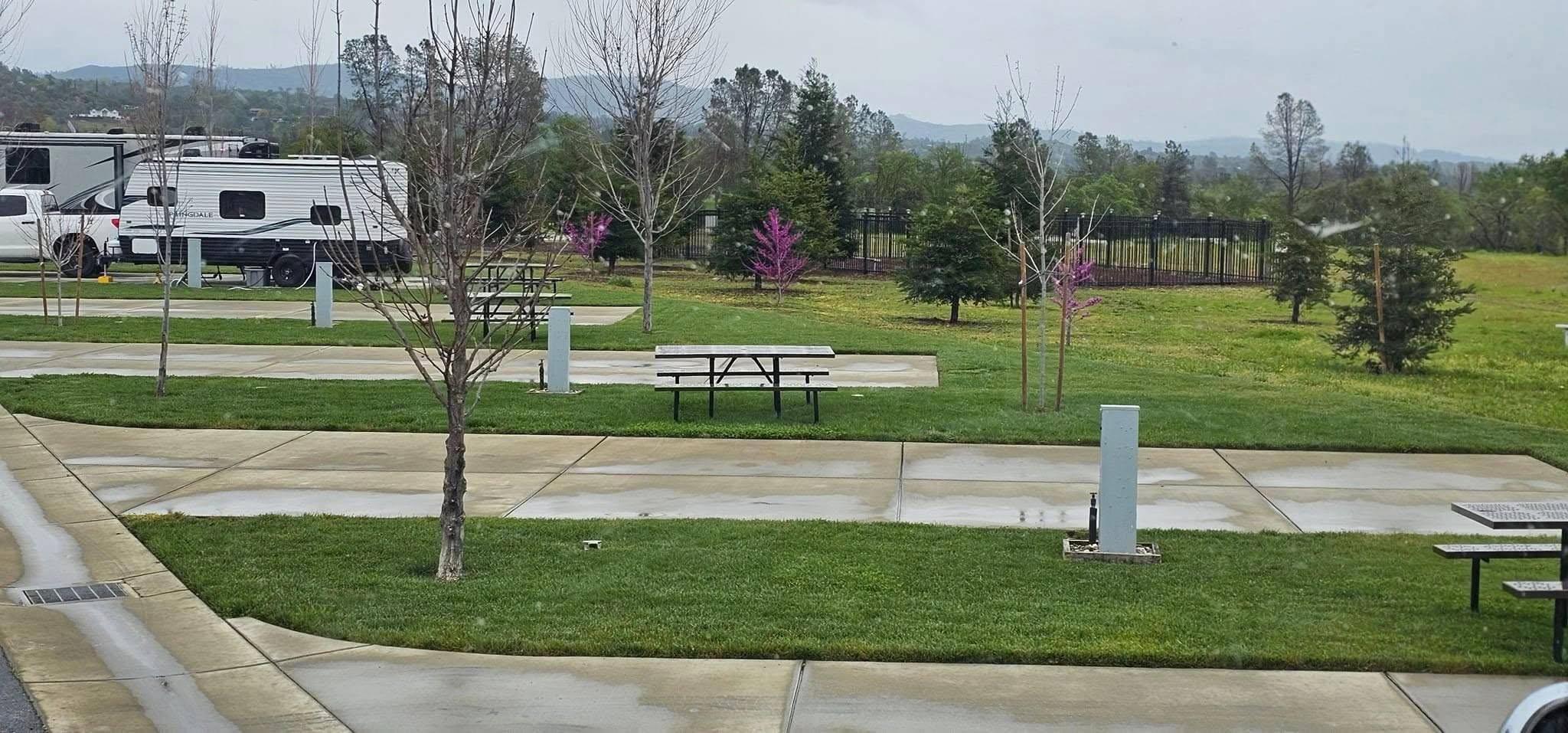 A nearly empty RV park with picnic tables, grassy areas, and young trees; a few RVs are parked in the background on a cloudy day.