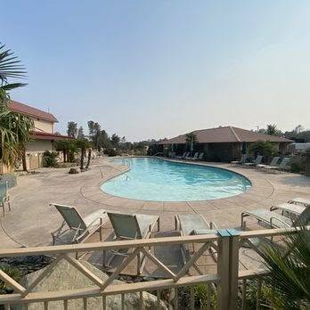 An outdoor swimming pool surrounded by lounge chairs and palm trees, with residential buildings in the background under a clear sky.